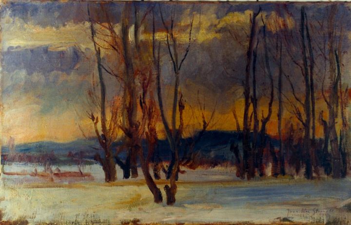 pictură - Steriadi, Jean Alexandru; Iarna în pădure