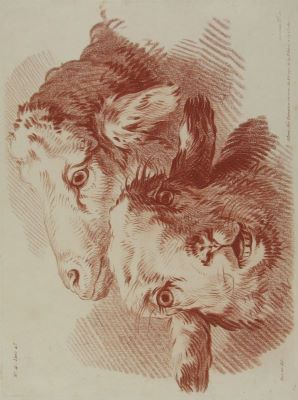 gravură - Demarteau, Gilles; (SC.); (EX.); Huet, Jean Baptiste; (INV.); (DEL.); [Capete de oi]; în registrul inventar: „Gravuri cu animale”