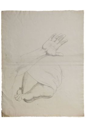 desen - Tattarescu, Gheorghe; Studiu de picior și mână