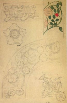 desen - Storck, Frederick; Detalii de ornamente - Floarea de măceș