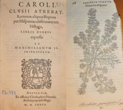 carte veche - Charles de l'Écluse, autor; Caroli Clusii Atrebat Rariorum aliquot stirpium per Hispanias