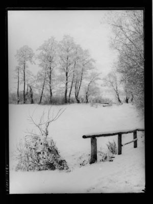 clișeu - Emil Fischer; Vedere dintr-un parc iarna