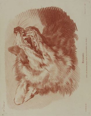 gravură - Demarteau, Gilles; (SC.); (EX.); Huet, Jean Baptiste; (INV.); (DEL.); Renard (Vulpe); în registrul inventar: „Gravuri cu animale”