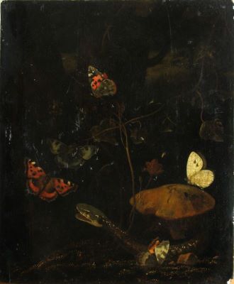 Pictură de șevalet - Van Schrieck, Otto Marseus; Șarpe și fluturi la rădăcina unui copac