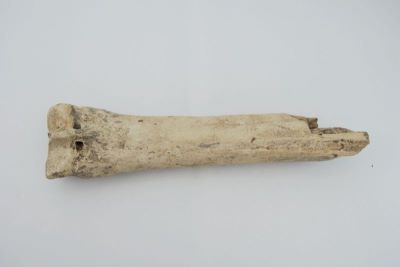 patină
