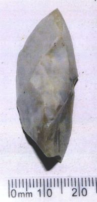 Burin caréné