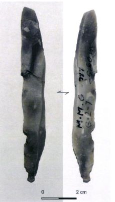 lamă; Lame macrolithique svelte