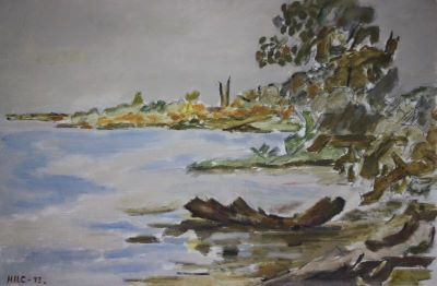 pictură de șevalet - Catargi, Henri H.; Lacul de la Căciulați