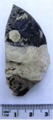 Burin caréné