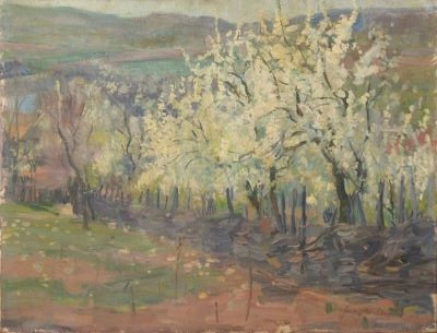 pictură de șevalet - Steriadi, Jean Alexandru; Pomi înfloriți
