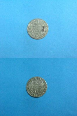 poltură 1624