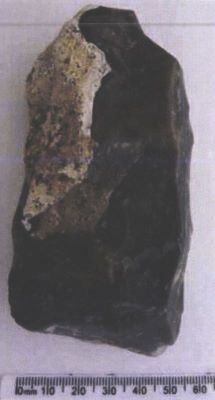 Nucleus