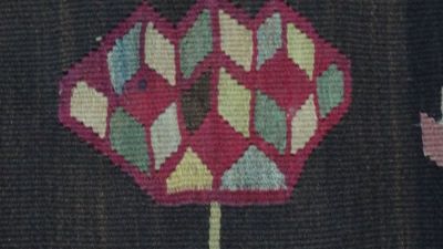 scoarță