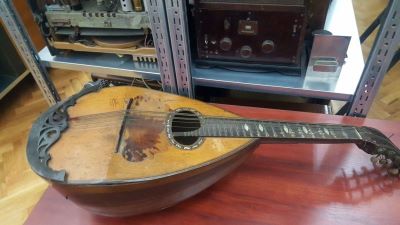mandolină