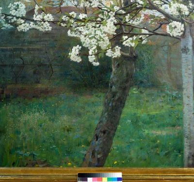 pictură de șevalet - Artachino, Constantin; Copac înflorit