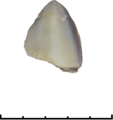 Nucleu de silex