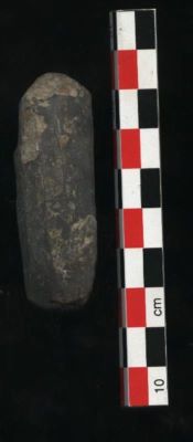 nucleu fusiform