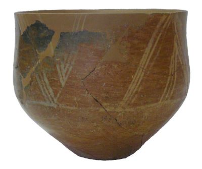 cupă