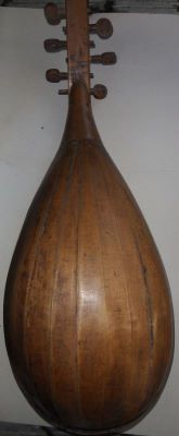 cobză - anonim