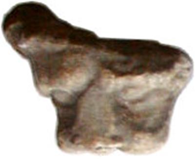aplică