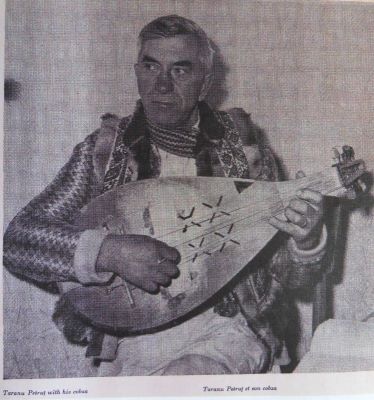 cobză - anonim