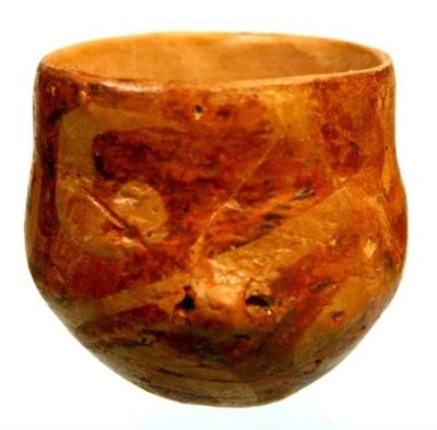 cupă