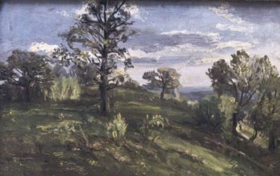 pictură - Vâlsan Marinescu, Ion; Nud