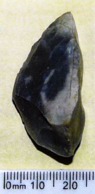 Burin caréné