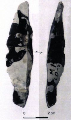 lamă; Lame moyenne