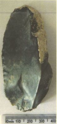 lamă; Couteau à dos cortical