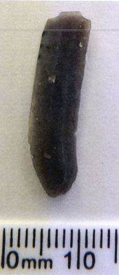 lamă; Lamelle