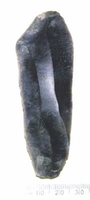 lamă; Lame