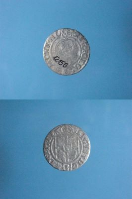 poltură 1625