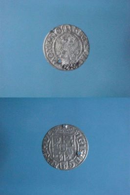 poltură 1626