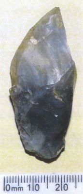 Burin caréné