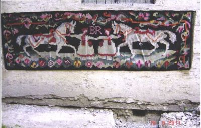 Bîzgan, Raveca; Scoarță