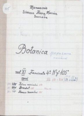 manuscris; Botanica poporană română vol. XI, fascicola 4 specii: Palma voinicului, Bradul, Floarea soarelui
