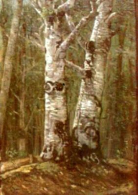 pictură - Andreescu, Ion; Fagi în pădure