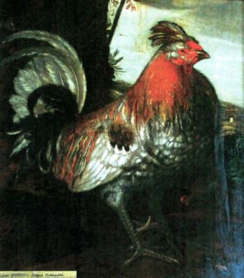 pictură - Hondecoeter, Melchior d'; Parabola cocoșului