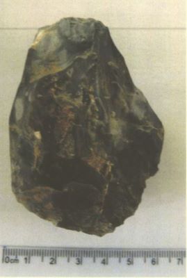 Nucleus fragmentaire