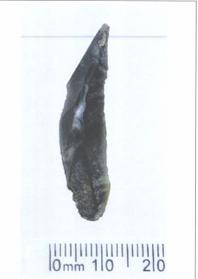 lamă; Lame moyenne (percoir)