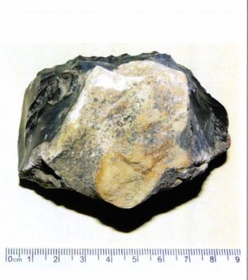 Nucleus