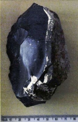 racloar; Racloir nucleiforme