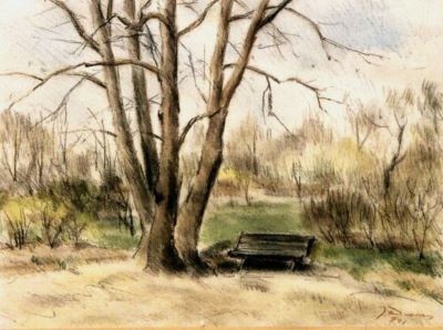 desen - Ialomițeanu, Dan; Parc