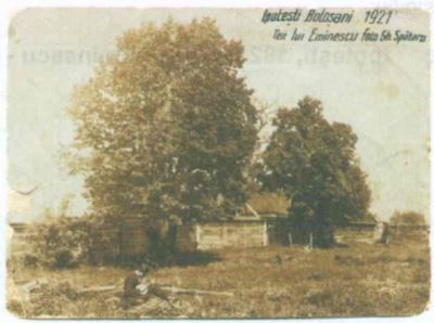 fotografie - Spătaru, Gheorghe; Teii lui Eminescu
