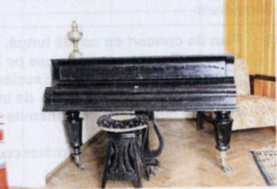 instrument muzical - Bosendorfer, Ludwig; pian
