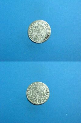 poltură 1624