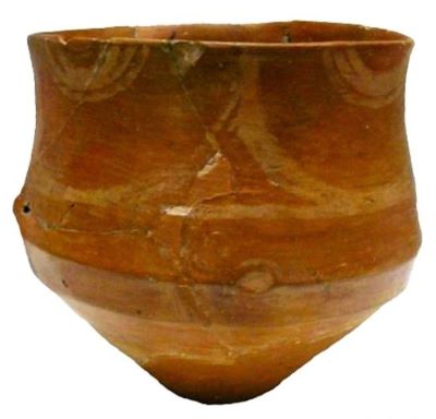 cupă