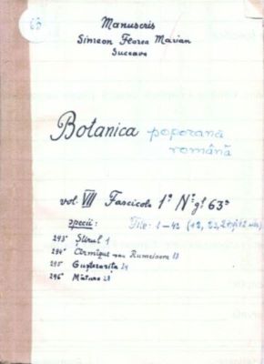 manuscris - Marian, Simion Florea; Botanică poporană: vol. VII, fascicola 1: specii: Știrul, Cîrmîzul sau Rumeioara, Gușterarița, Mătura