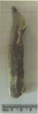 Lamă